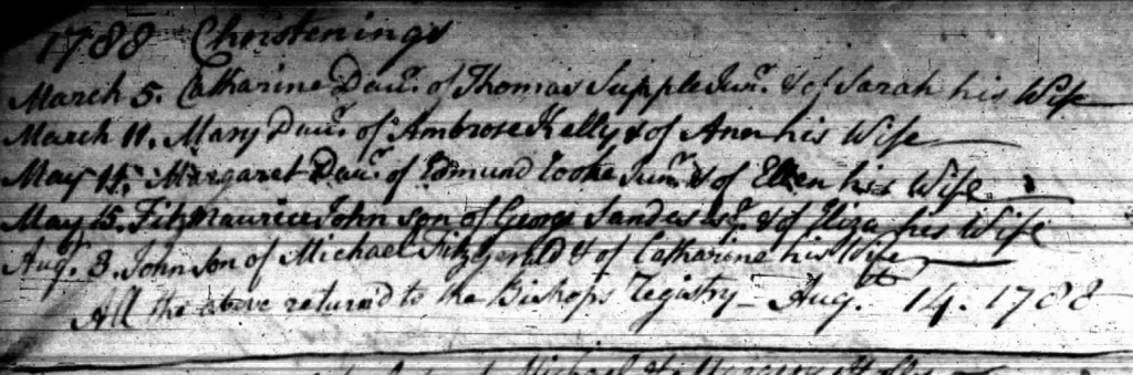 Baptism entry - Fitzmaurice John Sandes