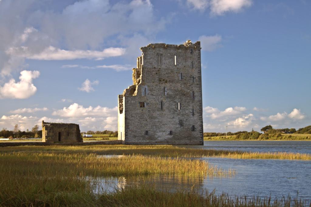 Carrigafoyle Castle in County Kerry. Awarded to William Sandes in return for his part in the Cromwell conquest of Ireland.