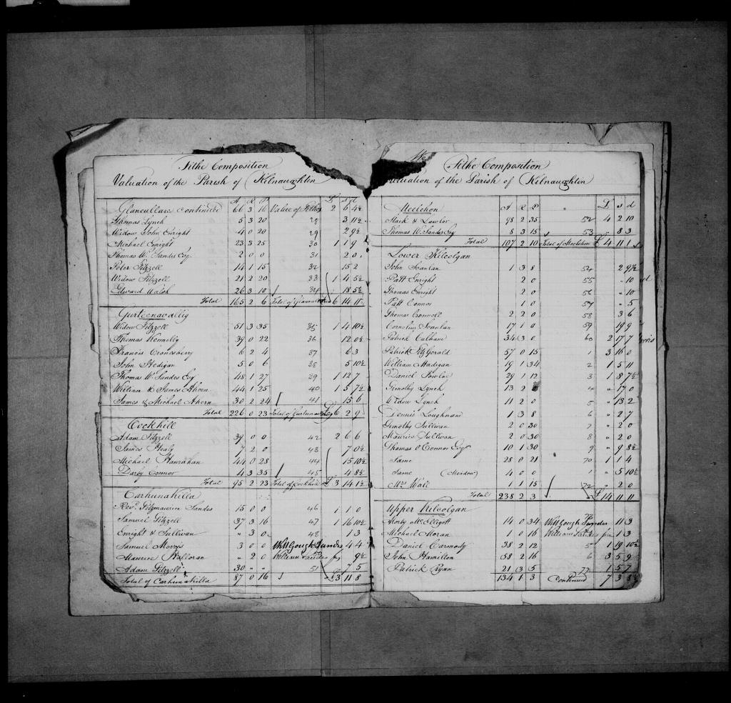Tithe applotment - Rev. Fitzmaurice J Sandes